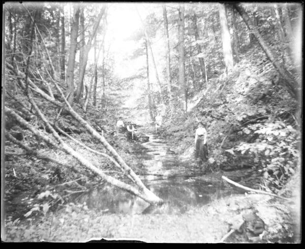 Cahoon Brook; Morris, NY