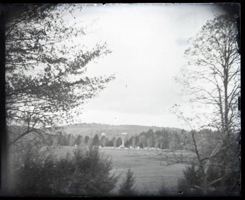 Long View of Cemetery; Morris, NY