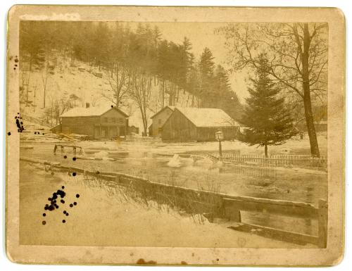 Warren Tyler's Store, House & Sawmill