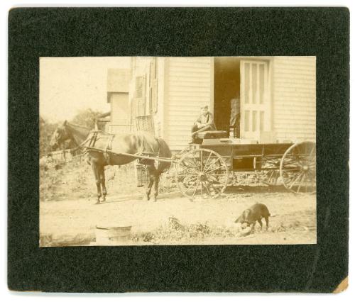 Boy on a Horse Drawn Wagon