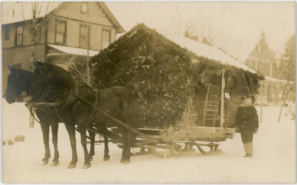 Two Horses Pull a Sled Float