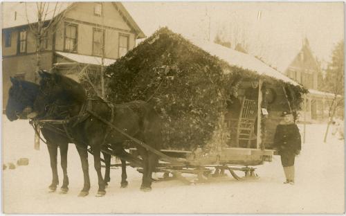 Two Horses Pull a Sled Float