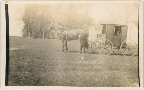 Horse and Cart