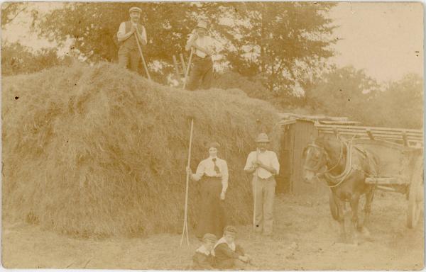 Working with the Hay