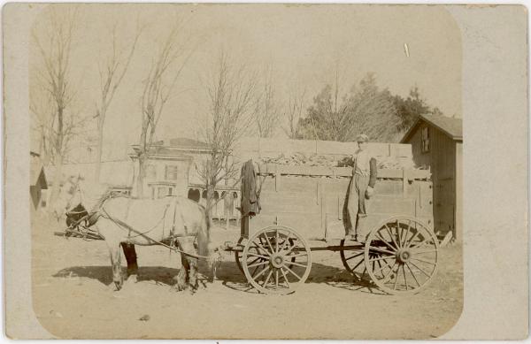 Horse Drawn Wagon