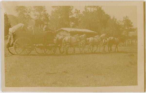 Wagon and Six Horse Team