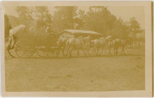 Wagon and Six Horse Team