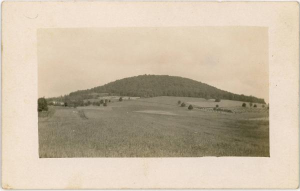 Countryside Panorama