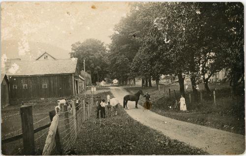 Horses on the Farmstead