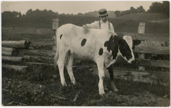 Man and Holstein Cow