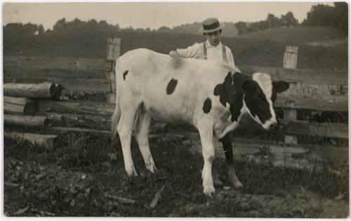 Man and Holstein Cow