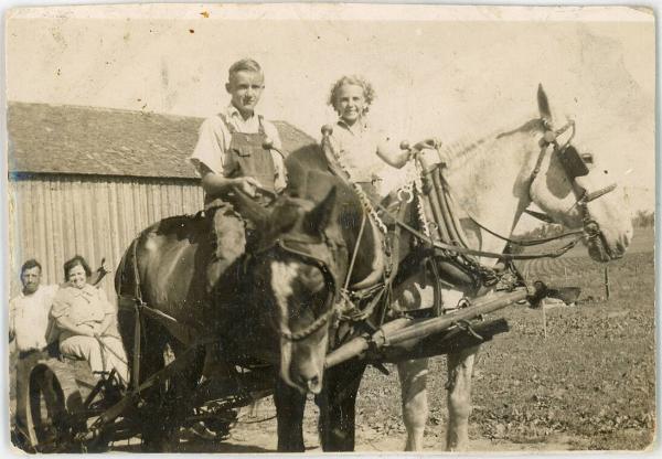 Family With the Two Horse Team