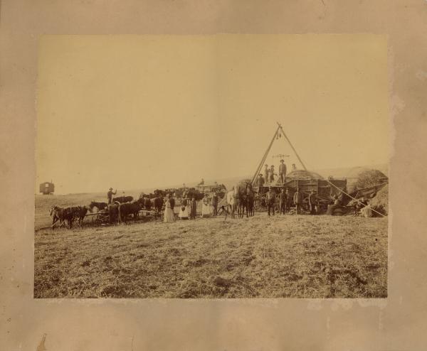 Threshing Team