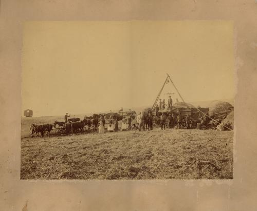 Threshing Team