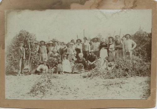 Hop Pickers