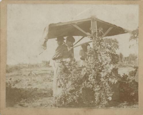 Hop Pickers