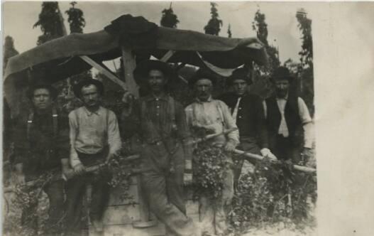 Hop Pickers