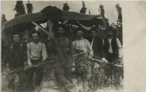 Hop Pickers
