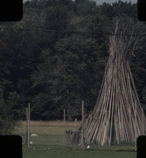 Stacked Hop Poles