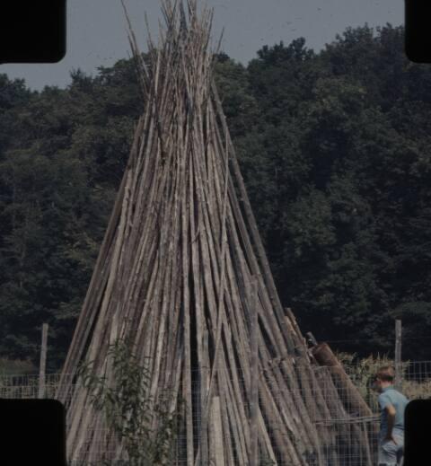Stacked Hop Poles