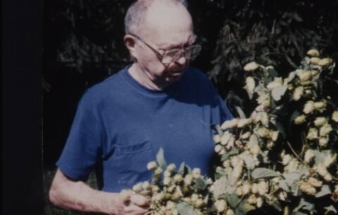Man Looking at Hops