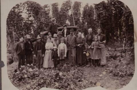 Hop Pickers Historic Photograph (3)
