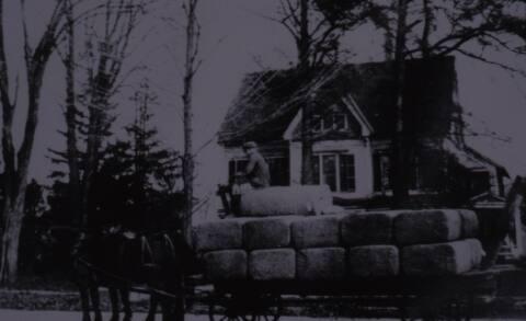 Hops Historic Photograph
