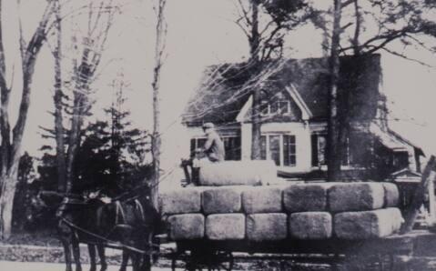 Horse-Drawn Wagon of People Historic Photograph