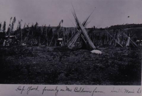 Hop Yard Historic Photograph