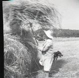 Haying - Putting Loose Hay on a Wagon