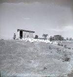 Farm Scene