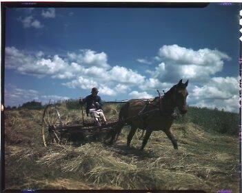Raking Hay in Lewis County, NY