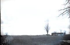 Farm Scene