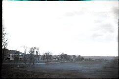 Farm Scene
