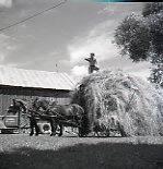 Wagon of Loose Hay
