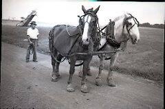 Man with a Horse Team