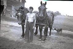 Man with Horse Team