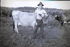 Man with Jersey Cow
