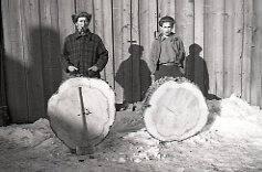 A Man and Boy Pose with Logs