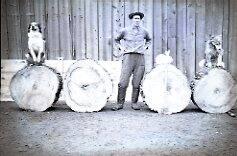 A Man and Animals Pose with Logs