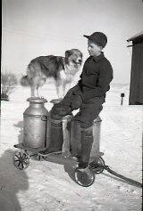 Boy and Dog with Milk Cans