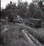 Logging Truck