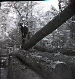 Loading a Logging Truck