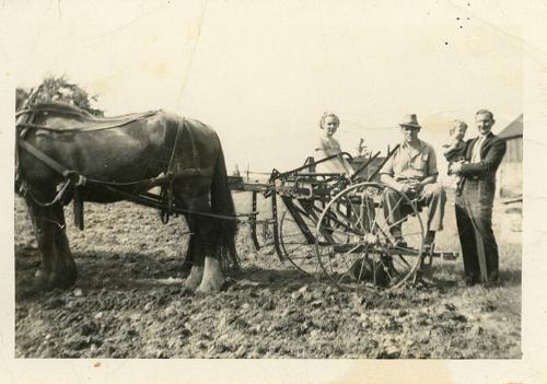 Farm Family with Horse Drawn Hay Rake