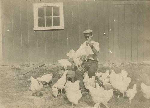 Man with Chickens