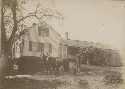 Rodney Willis Farm