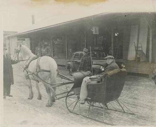 Man in Sleigh at Feed Store