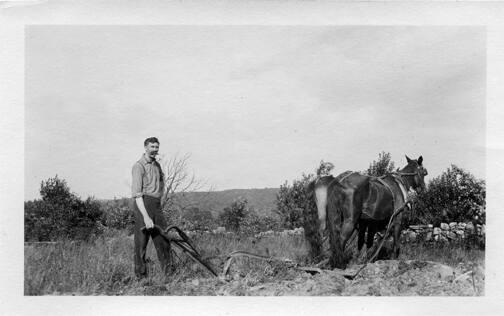 Horse-Drawn Walking Plow 
