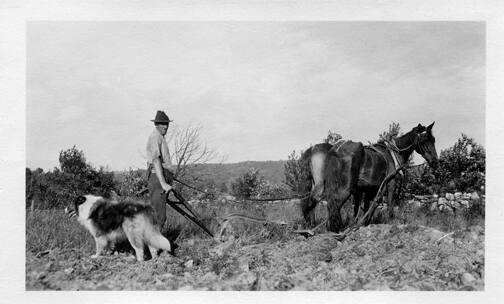 Farmer with Horse-Drawn Walking Plow 
