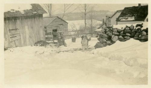 Winchell Farm Winter Scene with Dog 
